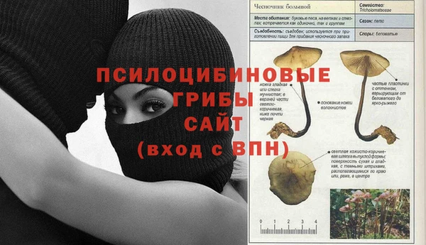 a pvp Алексин