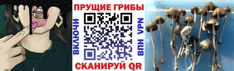 Галлюциногенные грибы MAGIC MUSHROOMS  Удачный 